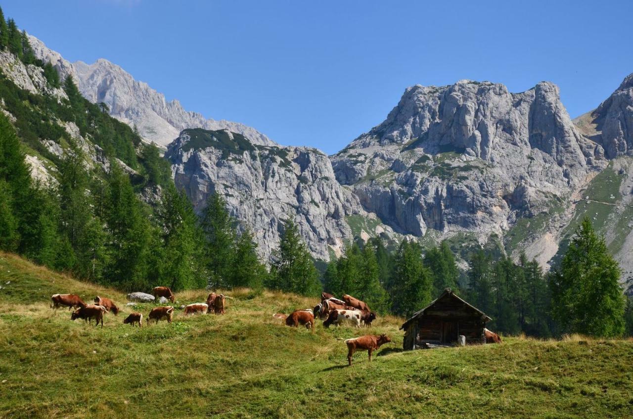 Apartma Pr Gatej Lägenhet Bohinj Exteriör bild